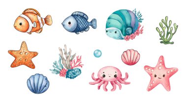 Çeşitli balıklar, sevimli bir ahtapot, neşeli bir denizyıldızı ve güzel deniz kabukları da dahil olmak üzere canlı bir dizi deniz yaşamı sergilenmektedir. Sahne, canlı bir sualtı yaşam alanını temsil ediyor..