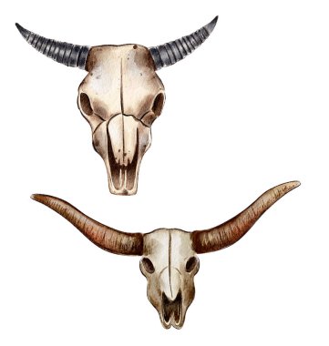 Bir suluboya resimde yakalanan iki boğa kafatası, sanatta hayvan kalıntılarının doğal güzelliğini ortaya koyan zıt boynuz şekillerini ve dokularını vurgular..