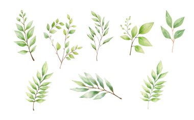 Bu sanat eserinde, farklı şekil ve boyutlarda, doğa temalı dekorasyonlar için mükemmel, temiz beyaz bir arka planda sergilenen çeşitli el yapımı yeşil yapraklar yer almaktadır..