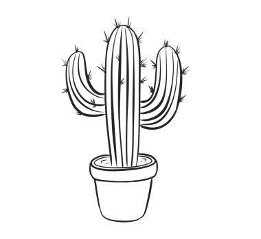 Uzun, uzun, tırtıklı kolları olan uzun bir kaktüs, basit bir çömlekten yükselir. Tasarım, modern iç mekanlar için ideal doğal dokuyu ve çivileri vurguluyor..