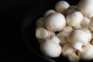 Pembe arka planda çiğ rezene 