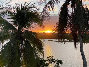 Sakin suların üzerinde nefes kesen tropikal bir gün batımı. Renkli gökyüzüne karşı siluetli palmiye ağaçları, huzurlu ve huzurlu bir atmosferi çağrıştırıyor..