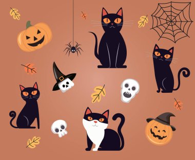 Kara kediler, kafatasları, örümcek ve balkabakları. Cadılar Bayramı tatili. Vektör çizimi. Web tasarımı, baskı ve tekstil için kullanılabilir.