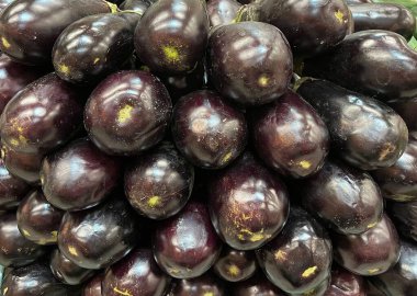 Görsel olarak çekici bir şekilde sergilenen yeni seçilmiş büyük bir patlıcan yığını, onların koyu mor derilerini ve yumuşak dokusunu vurgulayarak, doğal bir parlaklık ve tazeliği gösteren küçük lekelerle.