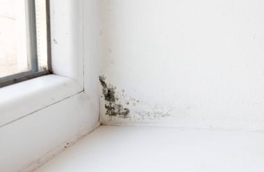 Pencerenin yanındaki beyaz duvarda büyüyen siyah kalıpları kapatın. Yüksek nem ve kötü yalıtım sorunları.