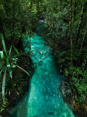 Raja Ampat 'taki Kalibiru Mavi Nehri, zümrüt yeşili sularının el değmemiş ormanlarda dolanmasıyla büyülenir. Sükunet ve macera sunan gizli bir doğal cennet..