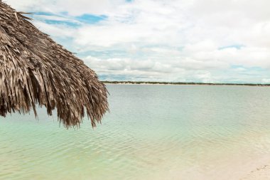 Yazın güzel tropikal havayla birlikte kumsalın kenarında şezlongda. Brezilya 'da deniz kenarında bir tatil köyü. Plaj sandalyesi konsepti. Turizm konsepti. Boşluğu kopyala.