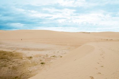 Dunas de areia em Jericoacoara Cear Brazil