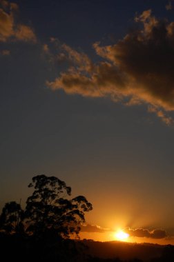 Antenler, antenler, antenler ve cidade de So Paulo. Kreusküler gebe. Noturno 'ya gebe kalmak.