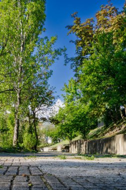 Huzurlu bir park yolu canlı ağaçlar ve yeşilliklerle çevrilidir. Parlak mavi gökyüzü huzurlu ortamı güzelleştirir, ziyaretçileri gezmeye ve doğanın tadını çıkarmaya davet eder..