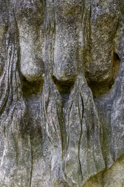 Antik kaya oymalarına yakından bakınca karmaşık desenler ve dokular ortaya çıkıyor. Yıpranmış taş zengin bir tarihi ve geçmiş medeniyetlerin doğal ortamdaki sanatını temsil ediyor..