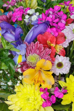 Çiçeklerin canlı çeşitleri sarı papatyalar, mor süsenler ve pembe karanfiller de dahil olmak üzere renk ve türlerin bir karışımını sergiler..