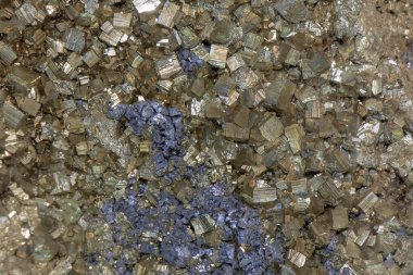 Doğal ışık altında gri kayaların arasına yerleştirilmiş altın ve koyu mavi renkleri gösteren çeşitli kristallerin yakın plan görüntüsü, mineral yapısının karmaşık detaylarını vurguluyor..