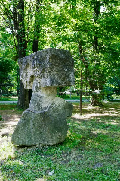 Bir kafayı andıran çarpıcı taş heykel gün boyunca yeşil ağaçlarla dolu canlı bir parkta belirgin bir şekilde duruyor. Güneş ışığı yaprakların arasından süzülerek sakin bir atmosfer yaratır..