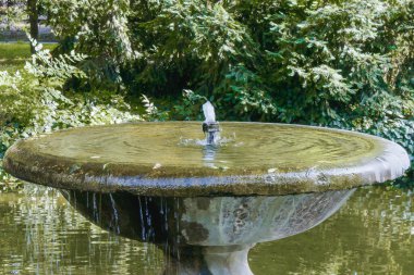 Sakin bir su çeşmesi, yemyeşil sularla çevrili sakin bir gölette hafif dalgalar oluşturan istikrarlı bir su akışına sahiptir..