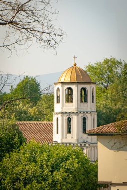 Parlak yeşil ağaçların üzerinde altın çatılı, çarpıcı bir kilise kubbesi yükseliyor..