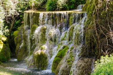 Su yavaşça yosun kaplı kayaların üzerinden akar ve canlı yeşilliklerle çevrili sakin bir şelale oluşturur. Ağaçların arasından süzülen güneş ışığı ormandaki huzurlu ortamı güçlendiriyor..
