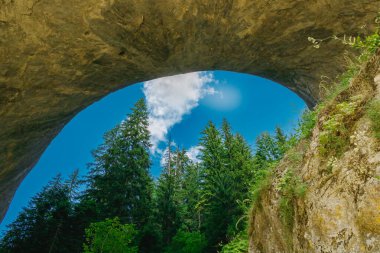 Büyük bir kaya kemeri açık mavi gökyüzünün altında canlı yeşil ağaçların üzerinde yükselir. Güneş ışığı kemerin içinden süzülerek güneşli bir yaz gününde aşağıdaki yemyeşil yapraklarla çarpıcı bir kontrastlık yaratır..