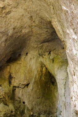 Bu büyüleyici manzara, bir mağaranın kayalık iç yüzeyinin karmaşık dokusunu ortaya koyuyor. Doğal ışık, gri ve yeşil tonlarını vurguluyor..