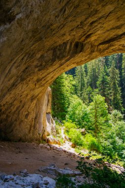 Görkemli bir kaya kemeri canlı yeşil bir ormanı çerçeveler ve orman zeminine gölgeler bırakır. Güneş ışığı ağaçların arasından süzülür, huzurlu manzaranın huzurlu atmosferini vurgular..