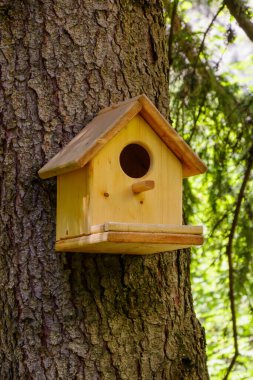 Büyüleyici bir ahşap kuş evi canlı yeşil bir ormandaki bir ağaç gövdesine bağlıdır. Güneş ışığı yaprakların arasından süzülür, doğanın güzelliğini vurgular ve kuşları yuvaya davet eder..