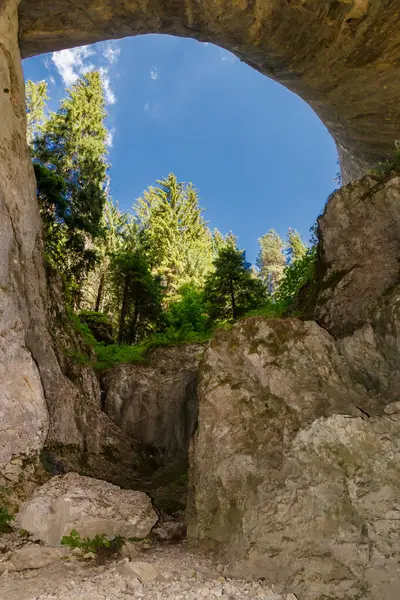 Doğal bir kaya kemerinin altından çarpıcı bir manzara parlak mavi bir gökyüzünün altında yüksek çam ağaçlarıyla çevrili yemyeşil bir manzarayı gözler önüne serer..