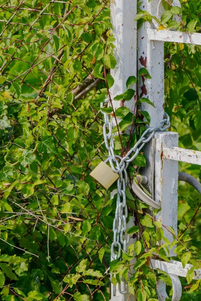 Zincir ve asma kilit ile korunan beyaz metal bir kapının yemyeşil bitki örtüsüyle kaplı olduğu görülmektedir. Bölgede yoğun yeşillikler var. Bu da gözlerden uzak ya da korunaklı bir mülk olduğunu gösteriyor..