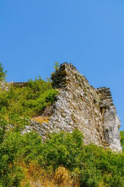 Eski bir taş duvarın kalıntıları vahşi bitki örtüsüyle çevrili bir tepenin üzerinde duruyor. Arkasında parlak mavi bir gökyüzü var..
