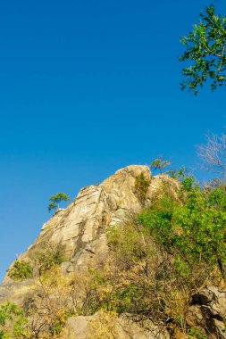 Kayalık bir tepe, seyrek bitki örtüsü ve birkaç küçük ağaç kurak bir yaz manzarasında geniş mavi bir gökyüzüne karşı duruyor..