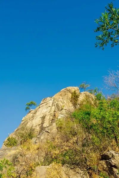 Kayalık bir tepe, seyrek bitki örtüsü ve birkaç küçük ağaç kurak bir yaz manzarasında geniş mavi bir gökyüzüne karşı duruyor..