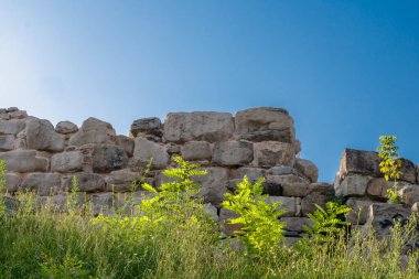 Önünde yabani bitkilerin yetiştiği antik bir kalenin eski taş duvar kalıntıları, tarihi, direnci ve zamanın geçişini simgeliyor..