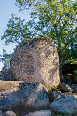 Dev bir granit kaya, daha küçük kayalar ve yeşil ağaçların arasında duruyor ve sakin bir açık havada doğal bir dönüm noktası oluşturuyor..