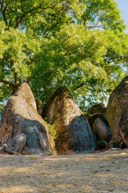 Büyük taş oluşumları yaz ormanı manzarasında uzun yeşil bir ağacın gölgesinde. Kayalar ve doğa arasındaki güç, istikrar ve uyum kavramı.