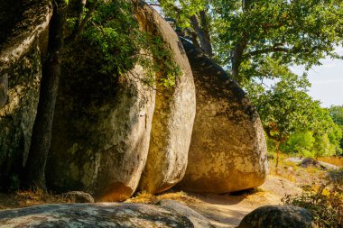 Muazzam granit kayalar, orman ağaçları ve bitki örtüsüyle çevrili sıcak güneş ışığıyla aydınlatılarak çarpıcı bir doğal kayalık alanı oluşturur..