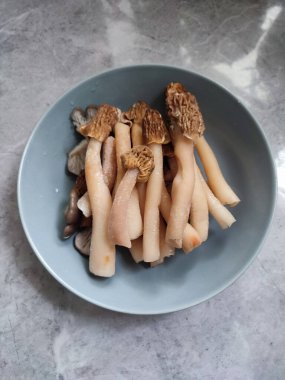 Erken morel verpa bohemika mantarlı gri tabak. Lezzetli uzun bacak kırışık yüksük mantarı, vahşi yenilebilir mantar bahar mantarı, malzemeler, yemek pişirme, vejetaryen yemeği.