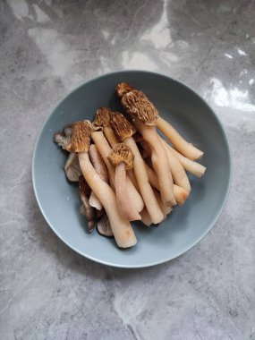 Erken morel verpa bohemika mantarlı gri tabak. Lezzetli uzun bacak kırışık yüksük mantarı, vahşi yenilebilir mantar bahar mantarı, malzemeler, yemek pişirme, vejetaryen yemeği.