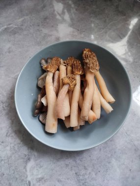 Erken morel verpa bohemika mantarlı gri tabak. Lezzetli uzun bacak kırışık yüksük mantarı, vahşi yenilebilir mantar bahar mantarı, malzemeler, yemek pişirme, vejetaryen yemeği.