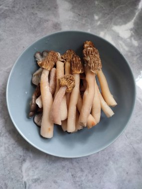 Erken morel verpa bohemika mantarlı gri tabak. Lezzetli uzun bacak kırışık yüksük mantarı, vahşi yenilebilir mantar bahar mantarı, malzemeler, yemek pişirme, vejetaryen yemeği.