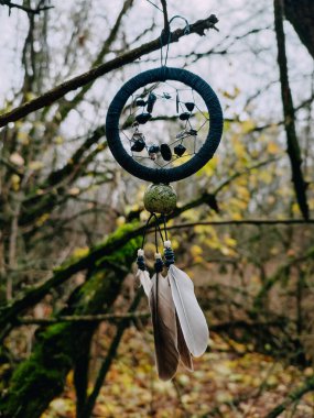 Sonbahar ormanında el yapımı araba dikiz aynası cazibesi ile doğal güvercin tüyleriyle siyah değerli minik rüya yakalayıcı yılan taşı Amerikan geleneksel zanaatı ile küçük düş kapanı