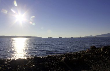 güneşli göl kıyısı sürüklenen dallar