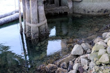 San Francisco, Kaliforniya 'daki eski ahşap iskele.