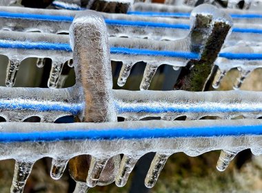 Donmuş çimen, buzlu toprak yosunu.