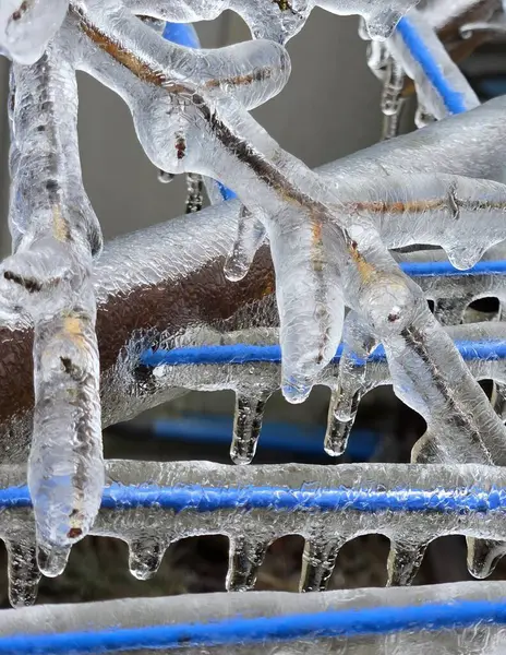 Buz sarkıtları ile kaplı dal 