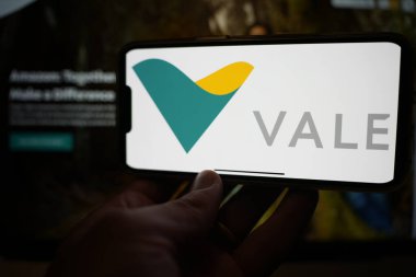 Roosendaal, Hollanda - 13 Şubat 2025: Vale logosunu gösteren bir cep telefonu; şirketin web sitesi arka planda.