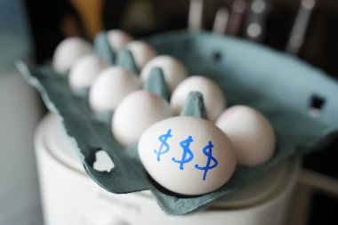 Üzerinde dolar işaretleri olan yumurta dolu bir kutu beyaz yumurta, yüksek yumurta fiyatlarını gösteriyor. Yumurta enflasyonu konsepti. Pahalı yumurtalar. Kuş bacası konsepti.