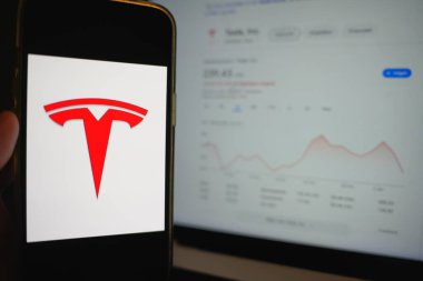 Roosendaal, Hollanda - 6 Nisan 2025: Tesla 'nın logosunu gösteren bir cep telefonu, Trump yönetiminin açıklamasının ardından son zamanlarda düşen hisse senetleri.