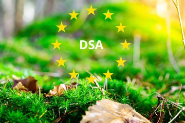 Avrupa Birliği tarafından başlatılan DSA (Dijital Hizmetler Yasası). Çevrimiçi güvenlik, içerik ılımlılığı ve platform şeffaflığı için yeni kurallar. Kavram.