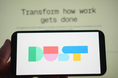 Roosendaal, Hollanda - 05 Ağustos 2025: Toz şirketinin logosunu gösteren bir cep telefonu.