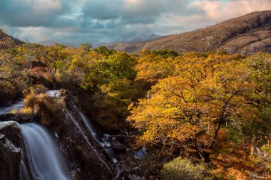 Sonbahar Renkleri, Gizli Mücevher Şelalesi, Killarney Ulusal Parkı, Kerry, İrlanda