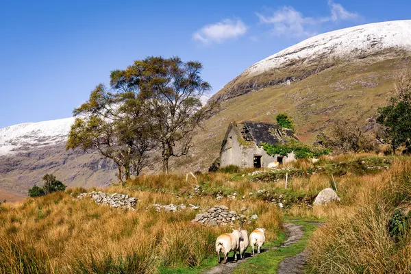 Karlı Dağlar, Drumluska Kulübeleri, Kara Vadi, Killarney, Kerry, İrlanda